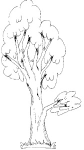 صورة شجرة للتلوين - دعك من التوتر واسترخي بتلوين صور الاشجار 11745