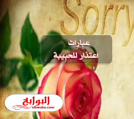 كلام اعتذار للحبيب - عبارات اسف وحزن 5636 6