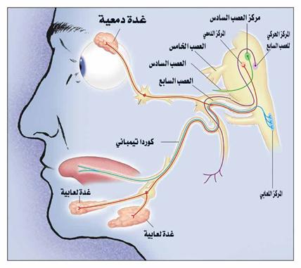 صور علمية - روائع من الصور العلميه 670 6