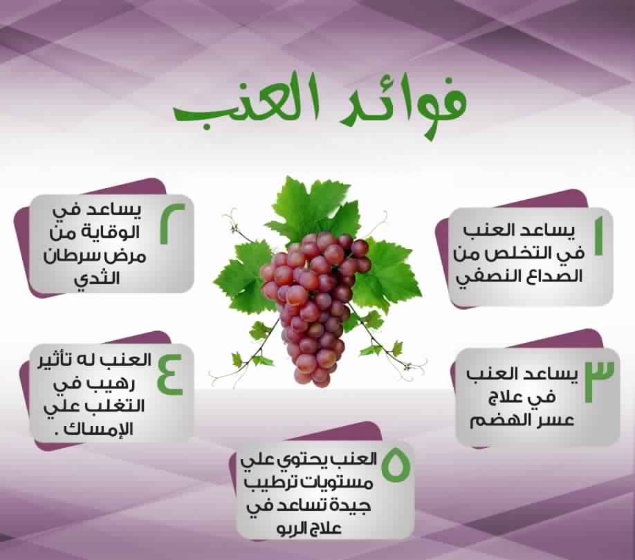 فوائد العنب - الفوائد العظيمه للعنب 1562 3