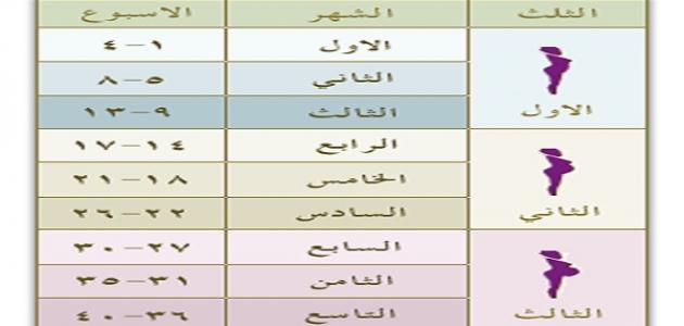 حاسبة الحمل بالاشهر