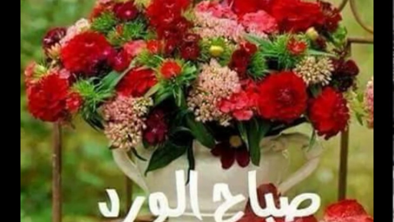 صور صباح ومساء - صور جميله مسائيه وصباحيه 1249 10