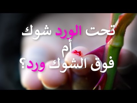 كلمات عن الورد - عبارات جميلة عن الزهور 2128 8