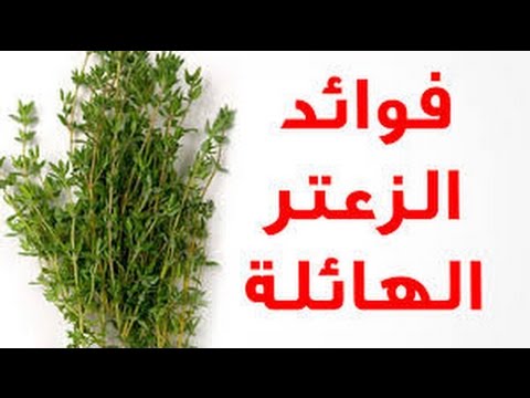 فوائد الزعتر - اهم المنافع من تناولك للزعتر 2173 3