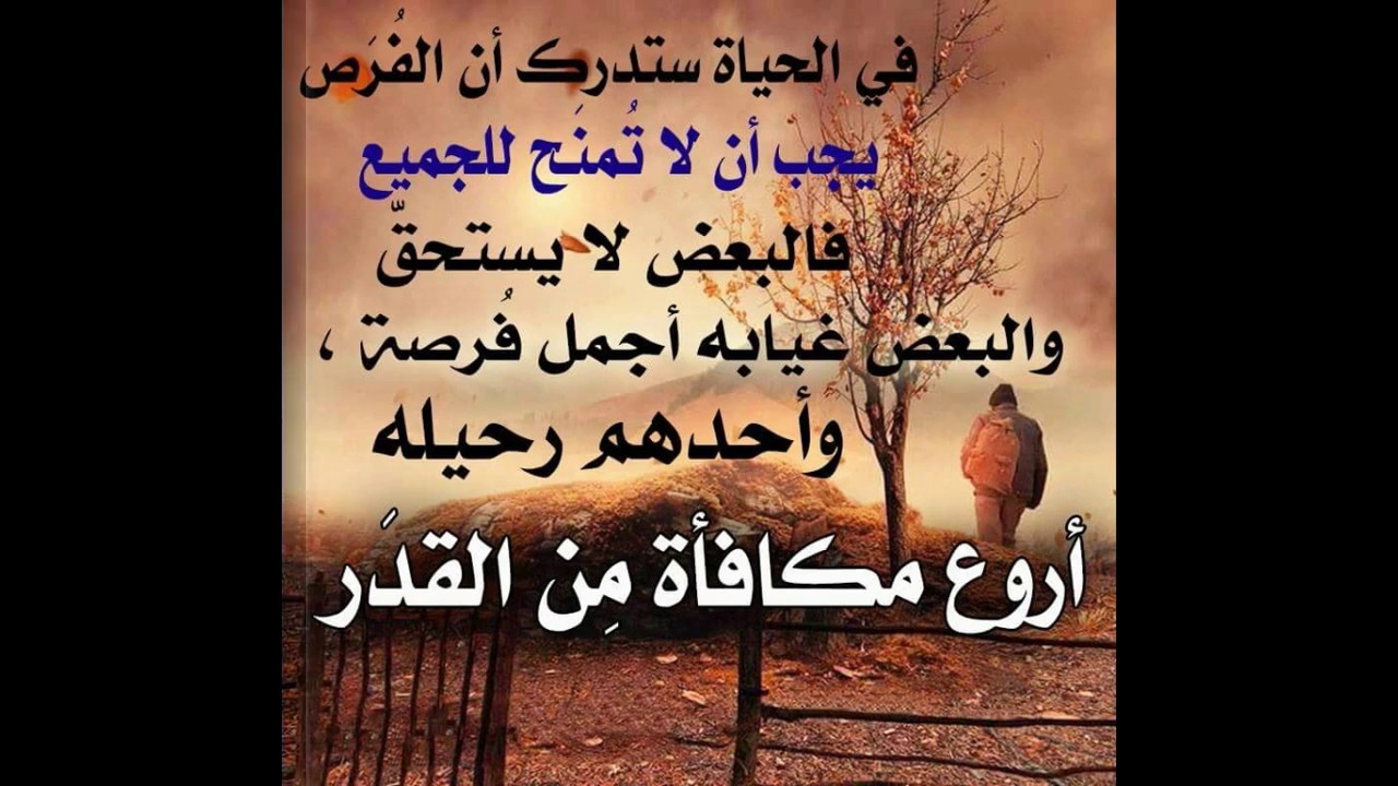 حكم ومقولات عن الحياة , كلام مفيد للحياة