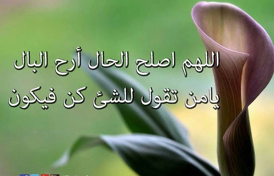 صور دينيه جميله - ما اروع الصور الدينية 4480 2