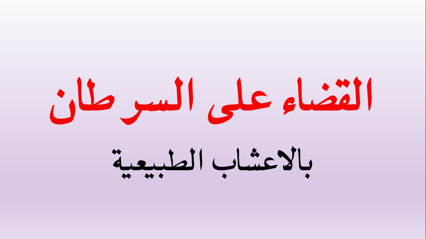 علاج السرطان بالاعشاب - خلطات عشبية لمعالجة السرطان 3516 3