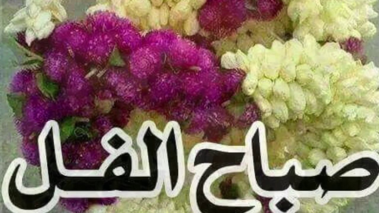 صور صباح الفل - صور عليها عبارات صباح الفل و الحب 5014 6