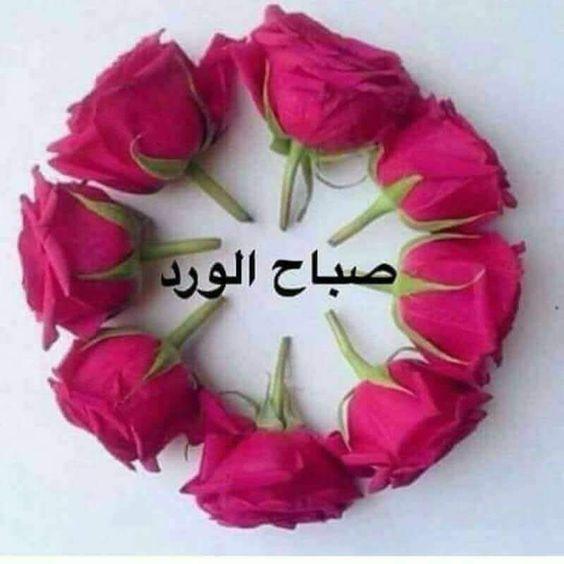 صور صباح الورد - صباح الورد والفل 5673 11