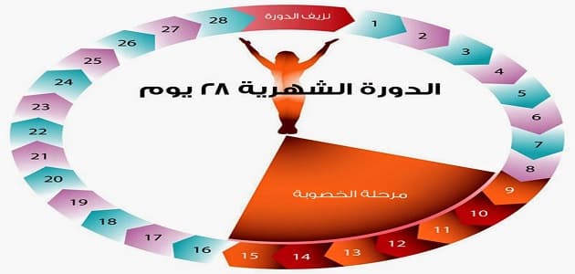 الايام المناسبة للحمل بعد الدورة الشهرية 2211