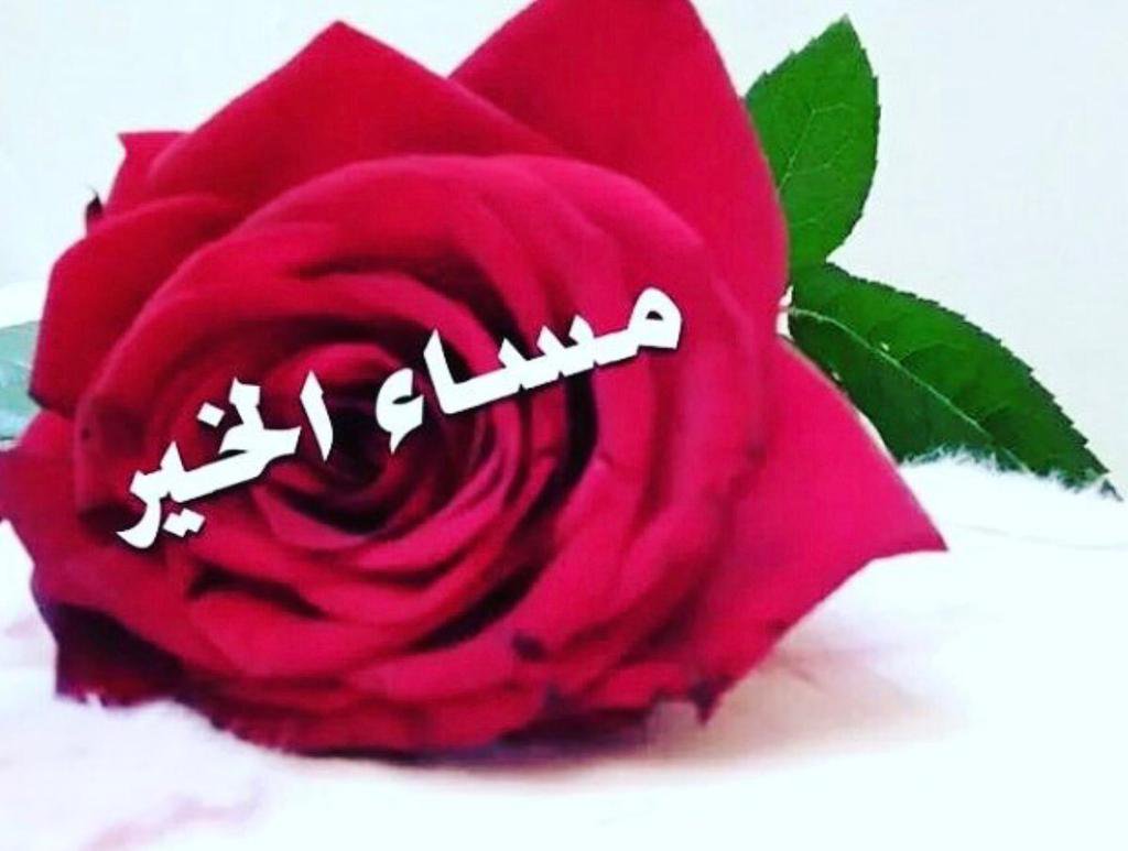 بطاقات مساء الورد 5538