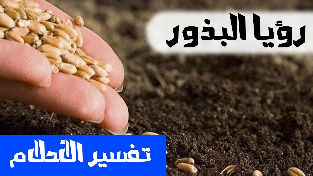 حلمت اني ازرع بذور 11667 1