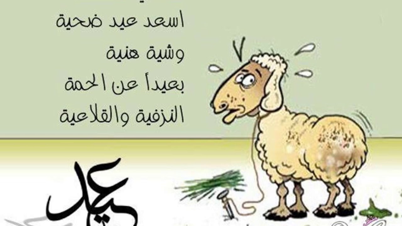 نكت العيد الاضحى