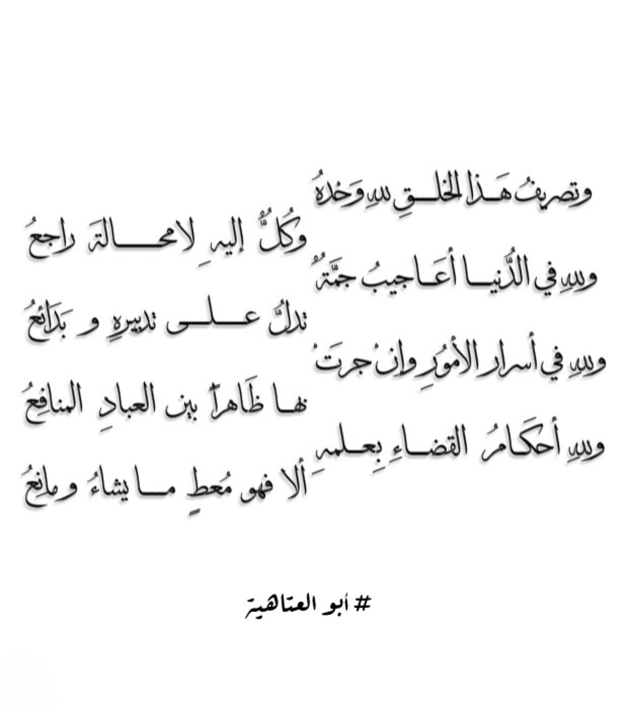 شعر فصيح - اشعار جميلة باللغة العربية الفصحى 1983 3