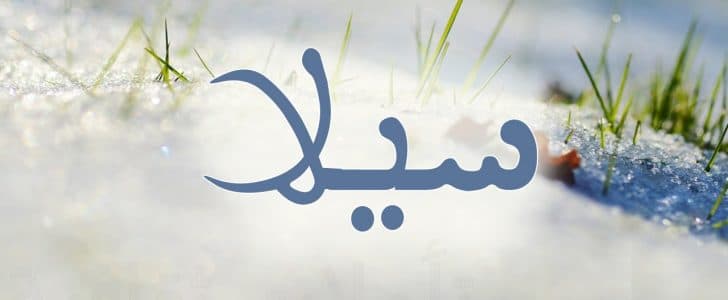 معنى اسم سيلا - مايعنيه اسم سيلا 585