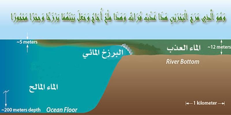 صور علمية - روائع من الصور العلميه 670 5