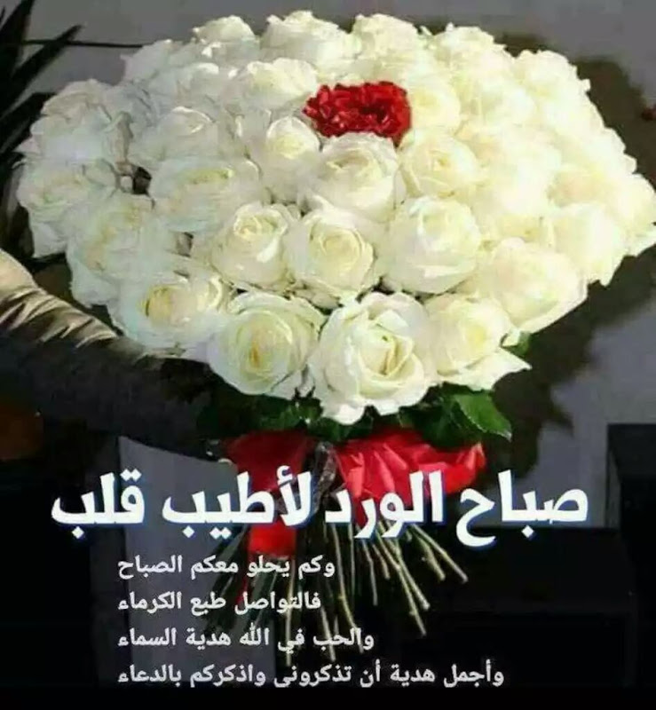 صور صباحيه للحبيب - اجمل صور صباحيه للحبيب 5601 5