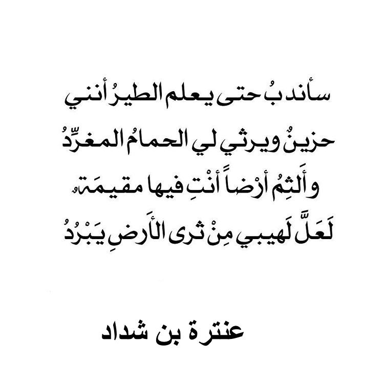 شعر فصيح - اشعار جميلة باللغة العربية الفصحى 1983 11