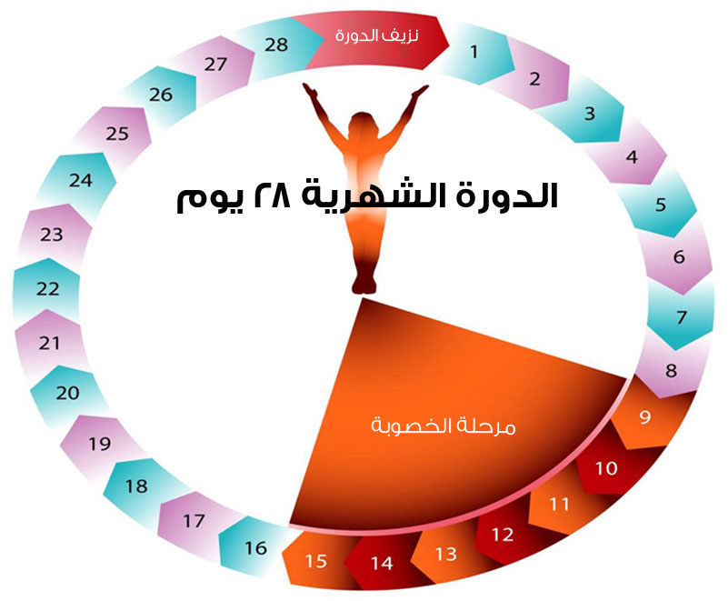 الدورة الشهرية المنتظمة , طريقة مؤكدة لانتظام الدورة