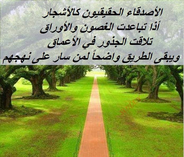 كلمات صباحية للاصدقاء 5272 1