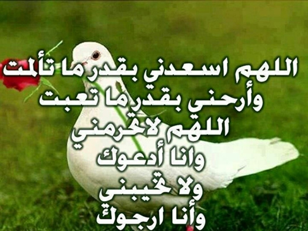 تنزيل ادعية , اهداء اجمل الادعية الدينية