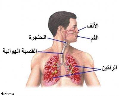 علاج حساسية الانف , علاج بالاعشاب لحساسية الانف