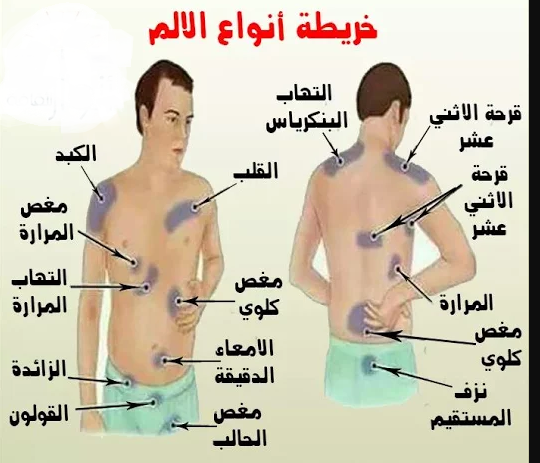 جسم الانسان بالصور - من اكبر النعم 4674 1