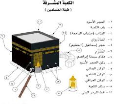 معلومات عامة مفيدة - لازم يكون عندك ثقافة عامة 3098 7