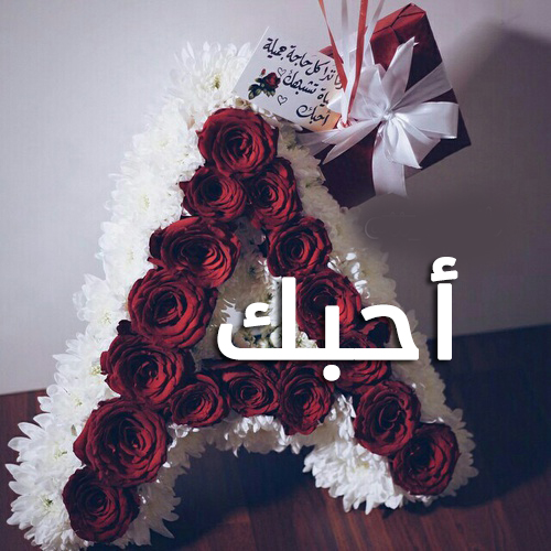 صور عن حرف A - روعة اشكال حرف A 812 13