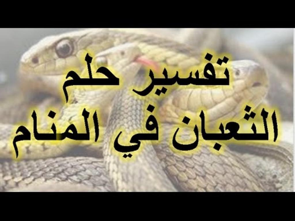 تفسير حلم الثعبان , تفسير الثعبان عند ابن سيرين