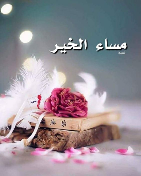 مساء المحبة- مساء الجمال على احسن ناس 5678 3