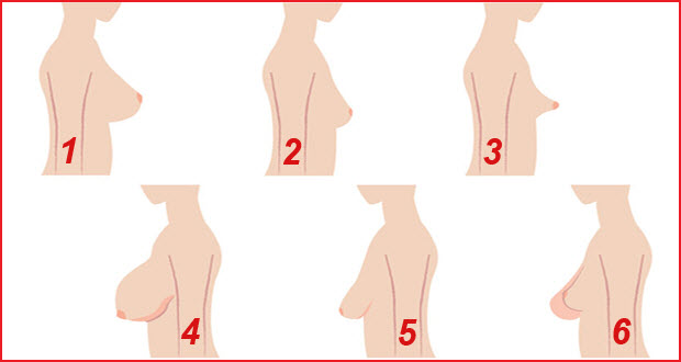 انواع ثدي المراة بالصور - صور عن اختلاف انواع ثدي المراة 2312 8