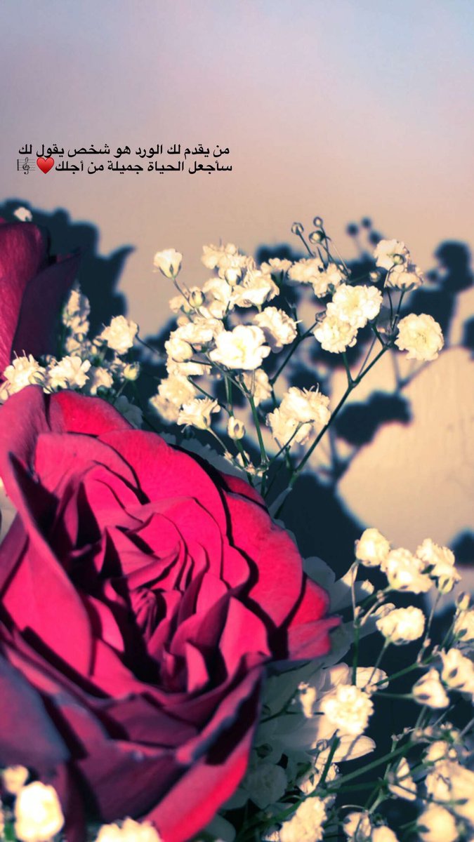 عبارات عن الورد , كلام عن الورد - معنى الحب