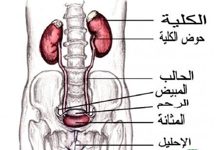 كيف اعرف اني عذراء , طريقة في المنزل للتاكد من كونك عذراء