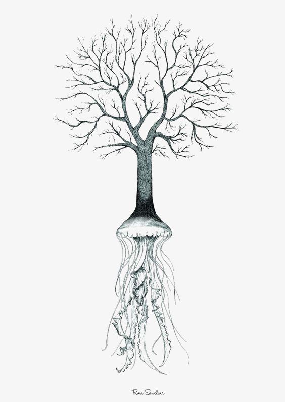 صورة شجرة للتلوين دعك من التوتر واسترخي بتلوين صور الاشجار معنى الحب